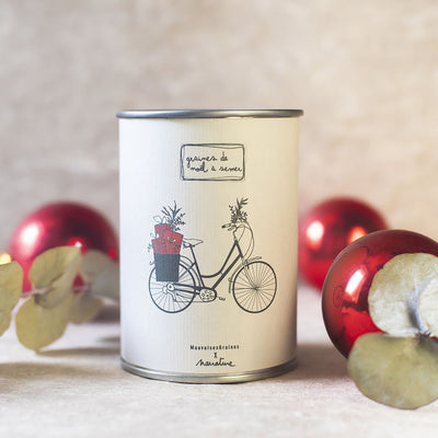 Kit à semer  "Noël Joyeux" MauvaisesGraines