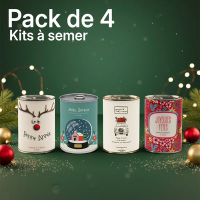 Pack de 4 kits à semer "Noël et bonne année"