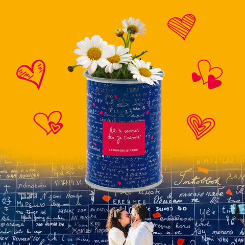 Kit à semer « Le mur des Je t’aime »