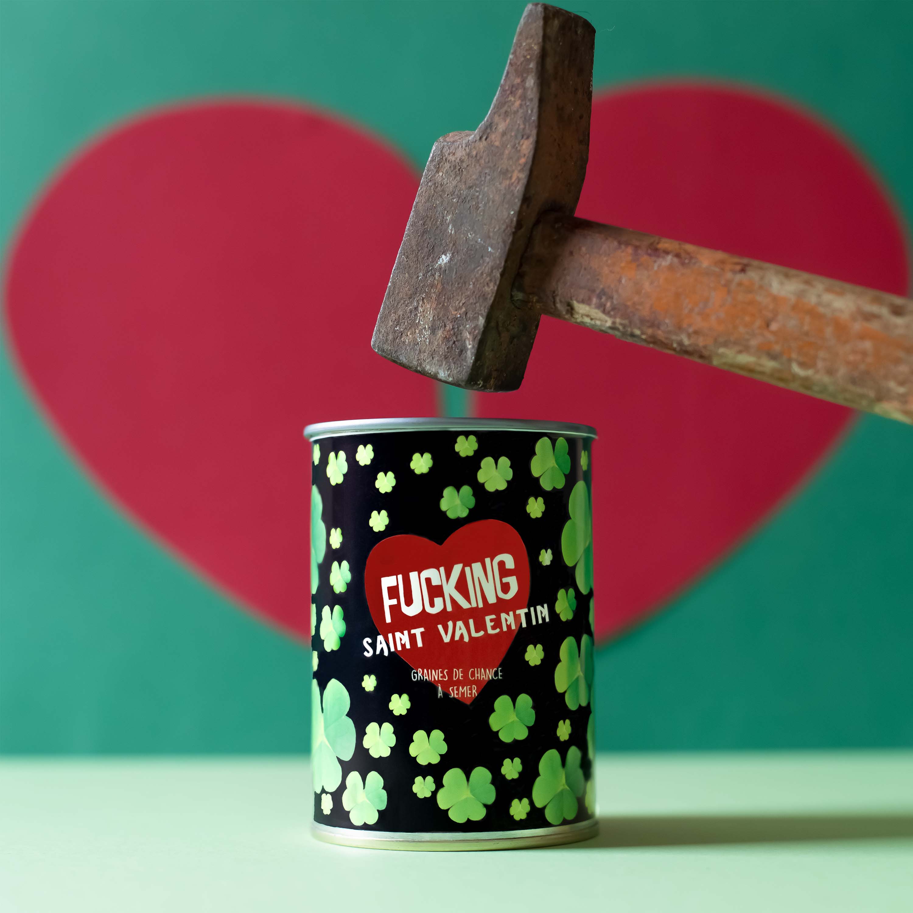 Kit à semer "Fucking Saint Valentin"