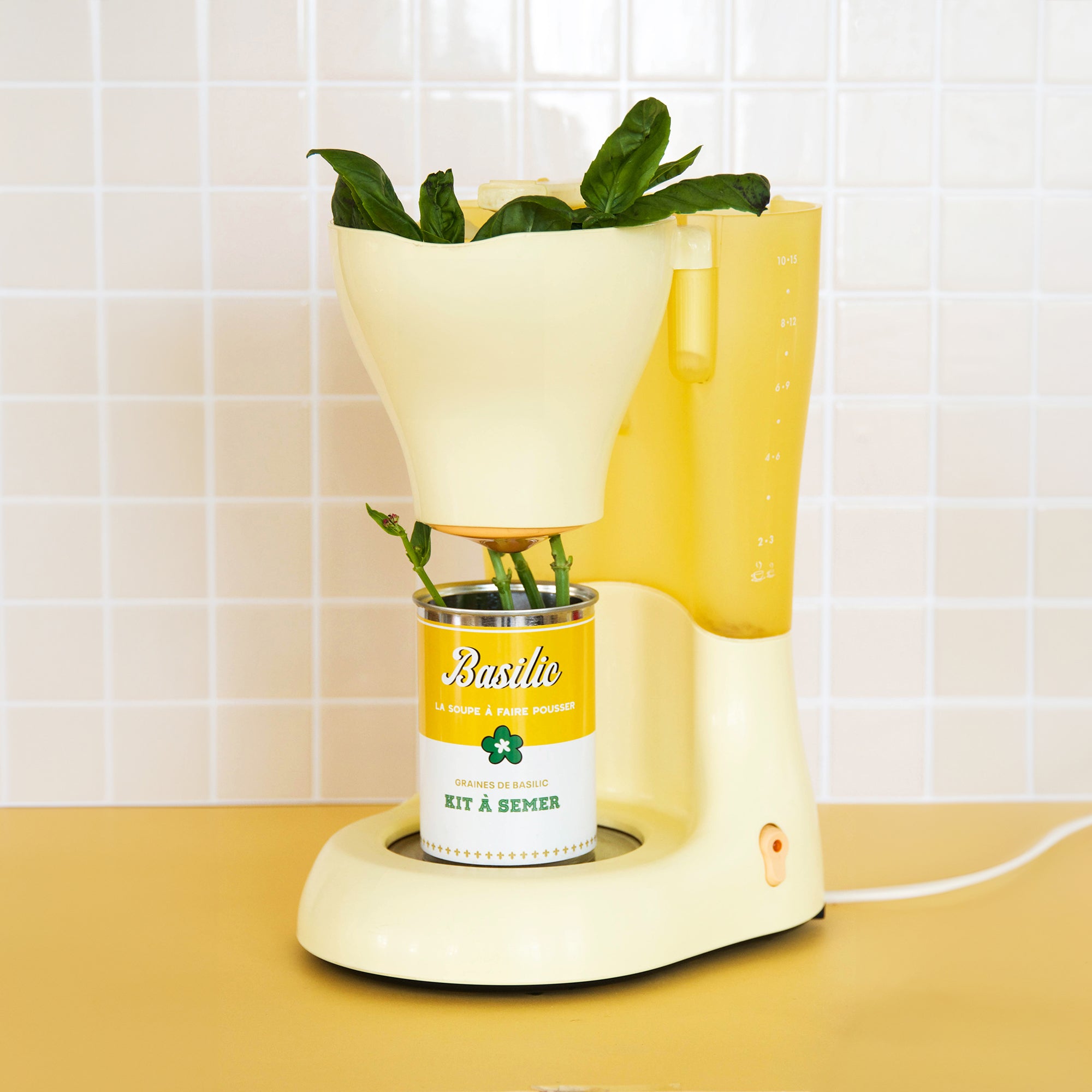kit à semer "soupe de Basilic" Fabriqué en France