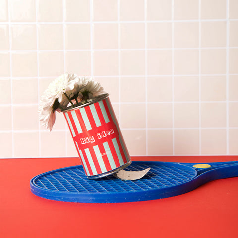 Kit à semer « Big Idea »