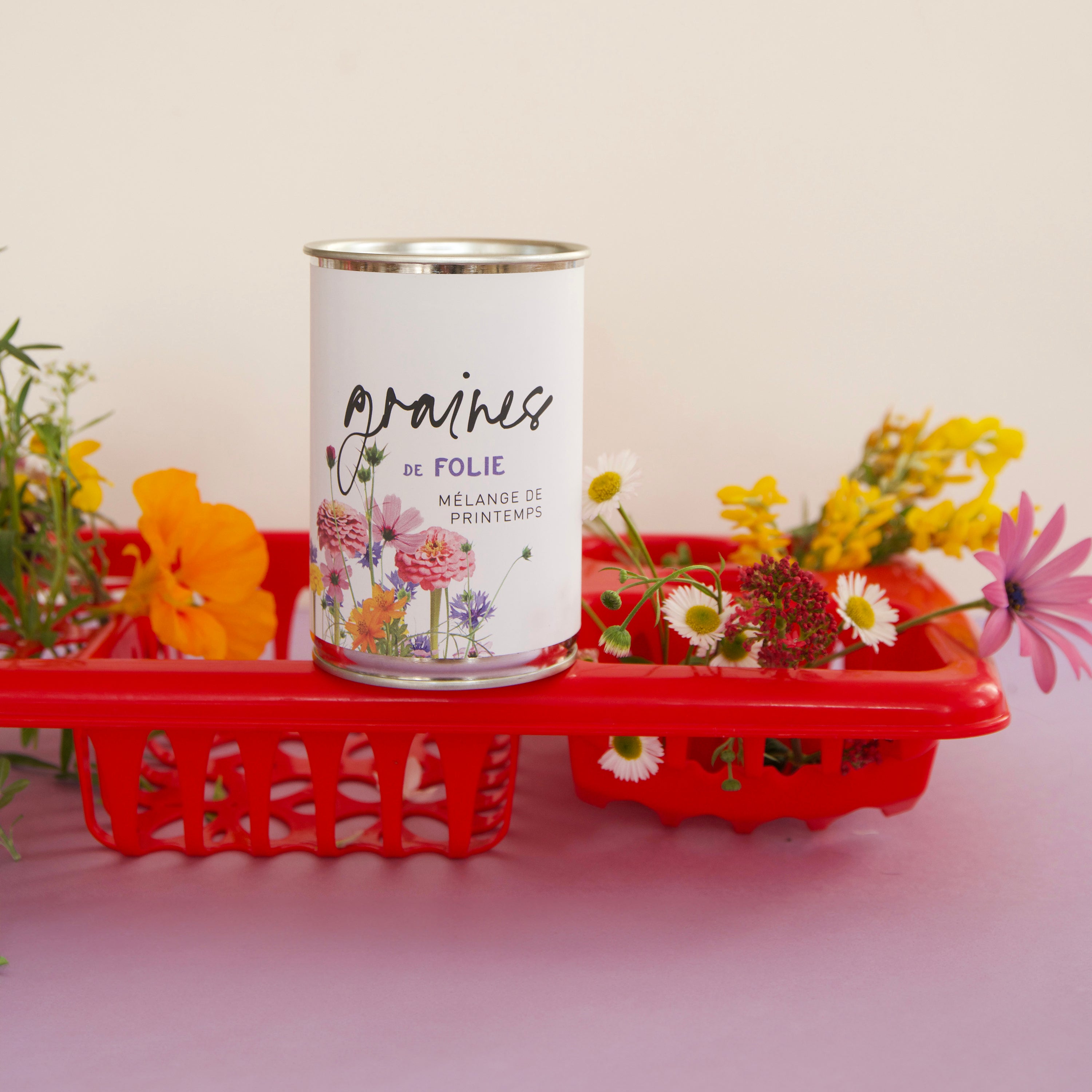 Kit à semer Mélange de fleurs – Graines de folie – Cadeau original – Fabriqué en France