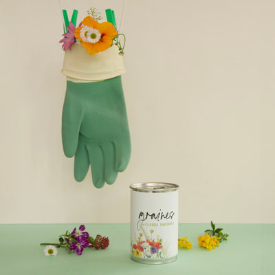 Kit à semer Fleurs sauvages – Graines de nature – Cadeau original – Fabriqué en France