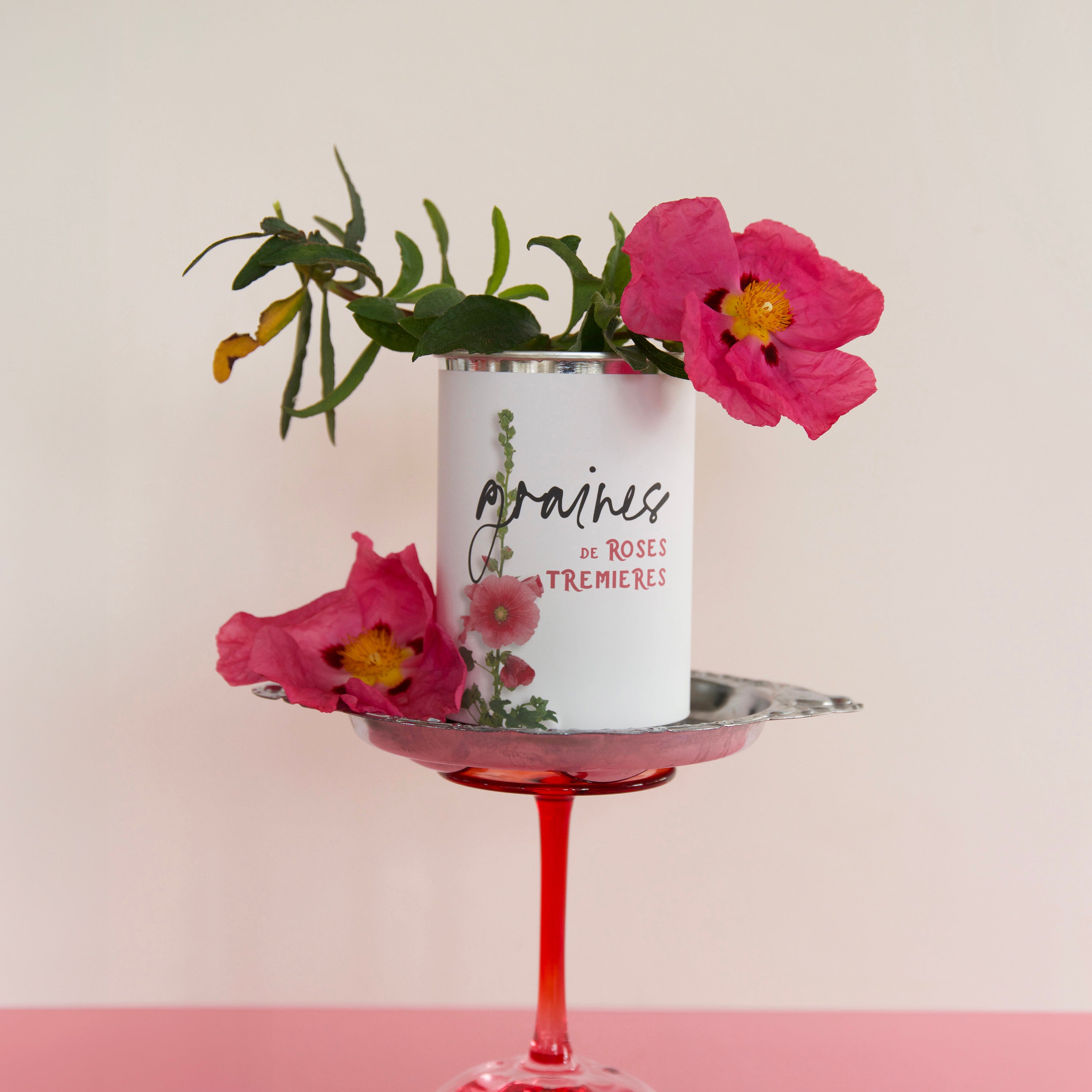 Kit à semer Roses trémières – Graines de fleurs – Cadeau original – Fabriqué en France