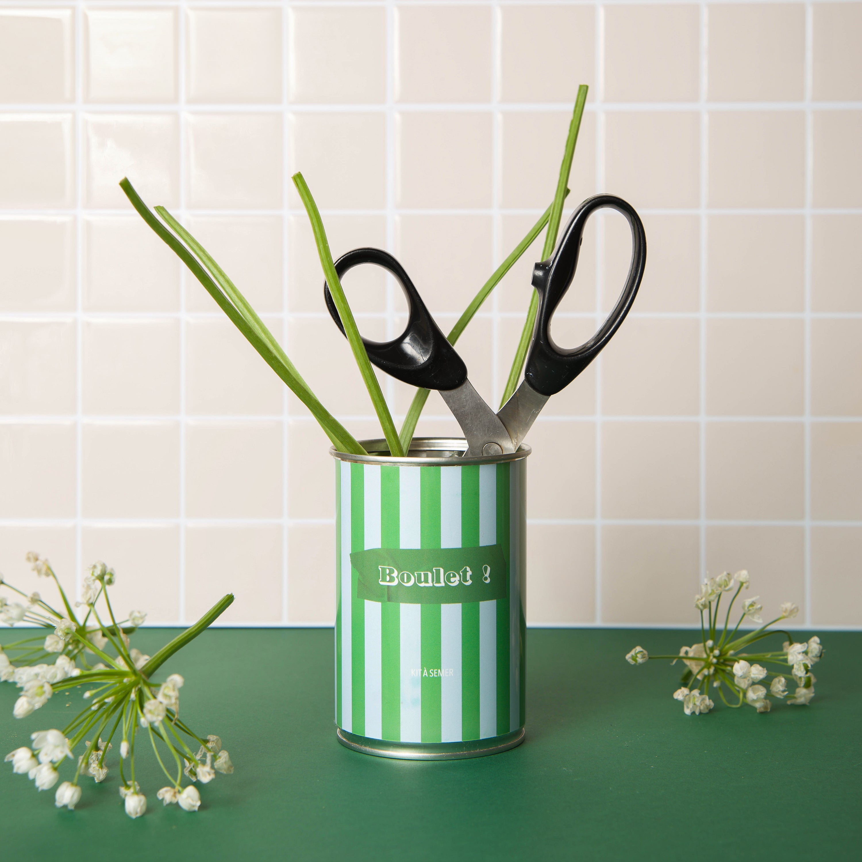 Kit à semer "Boulet" Fabriqué en France