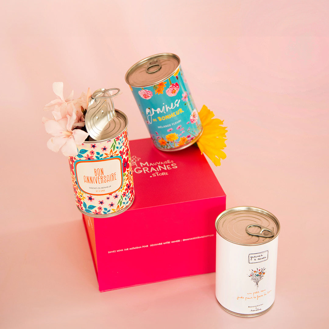 Coffret cadeau MauvaisesGraines – 3 kits à semer