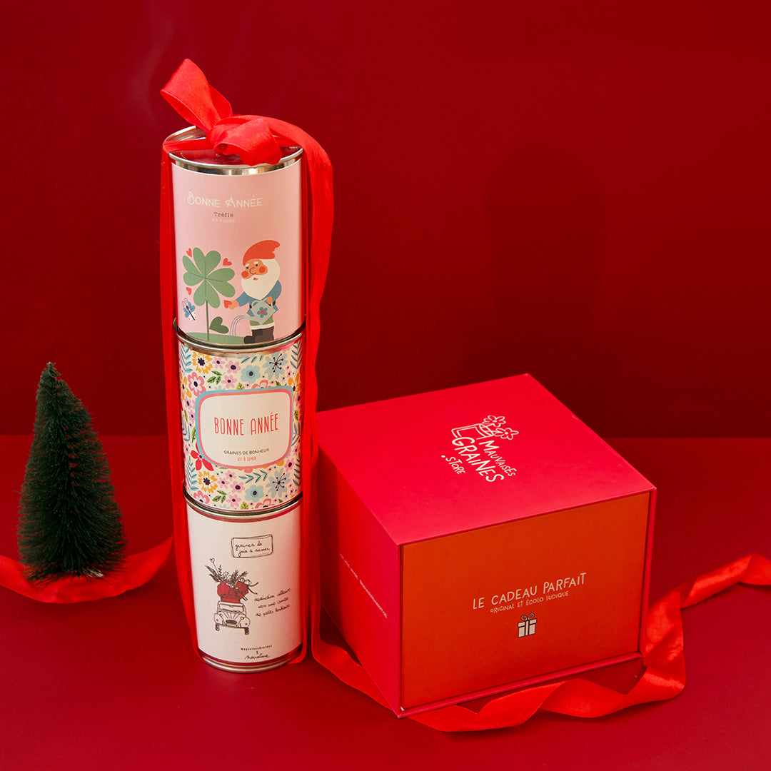 Trois kits à semer de fin d’année présentés avec leur coffret cadeau rouge et orange.