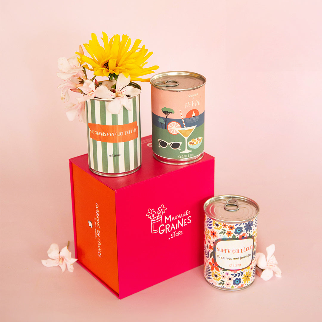 Pack Secret Santa – Trio de Kits à Semer