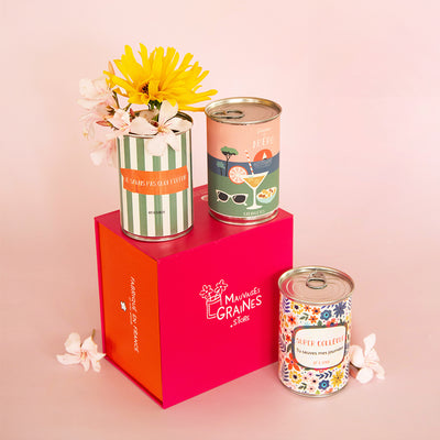 Pack Secret Santa – Trio de Kits à Semer