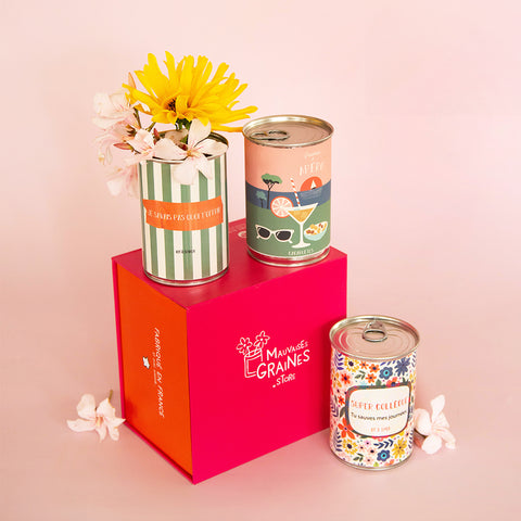 Pack Secret Santa – Trio de Kits à Semer