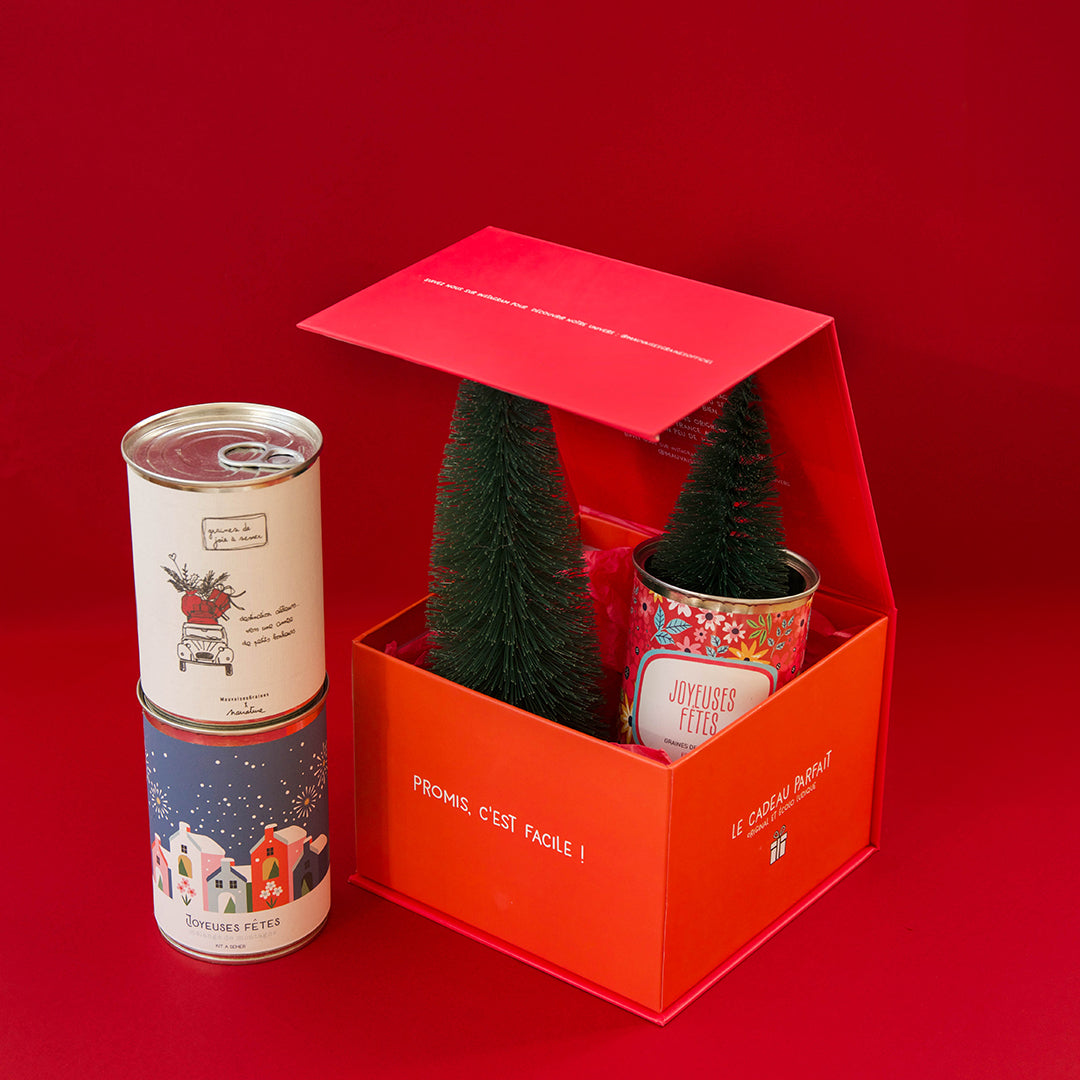 Coffret Joyeuses Fêtes rouge et orange avec trois kits à semer illustrés.