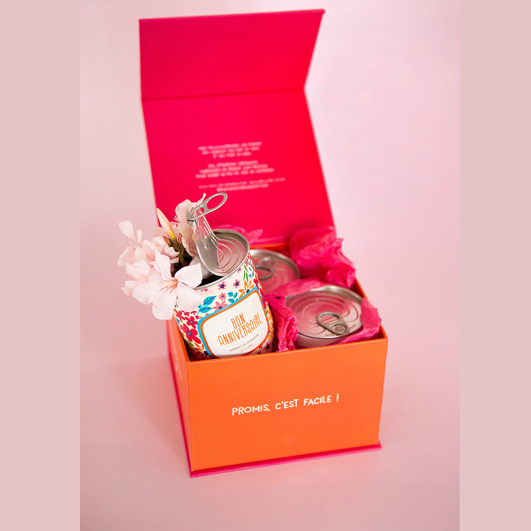 Coffret cadeau MauvaisesGraines – 3 kits à semer