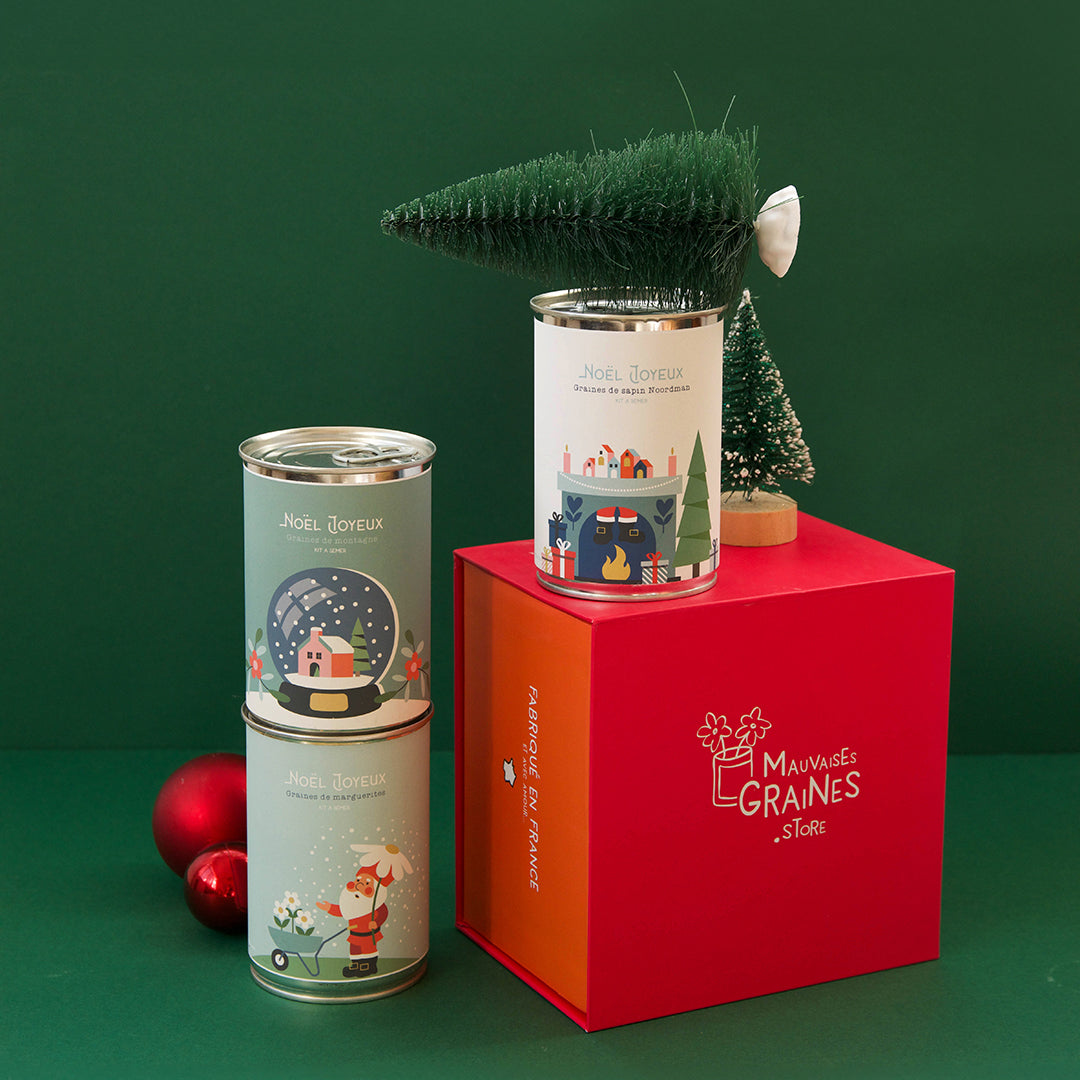 Coffret Petits Yéyés Noël avec trois kits à semer illustrés : boule à neige, Père Noël et cheminée.