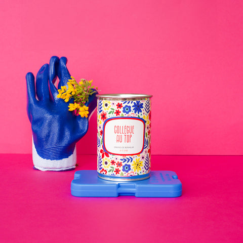 Kit à semer « Collègue au top »