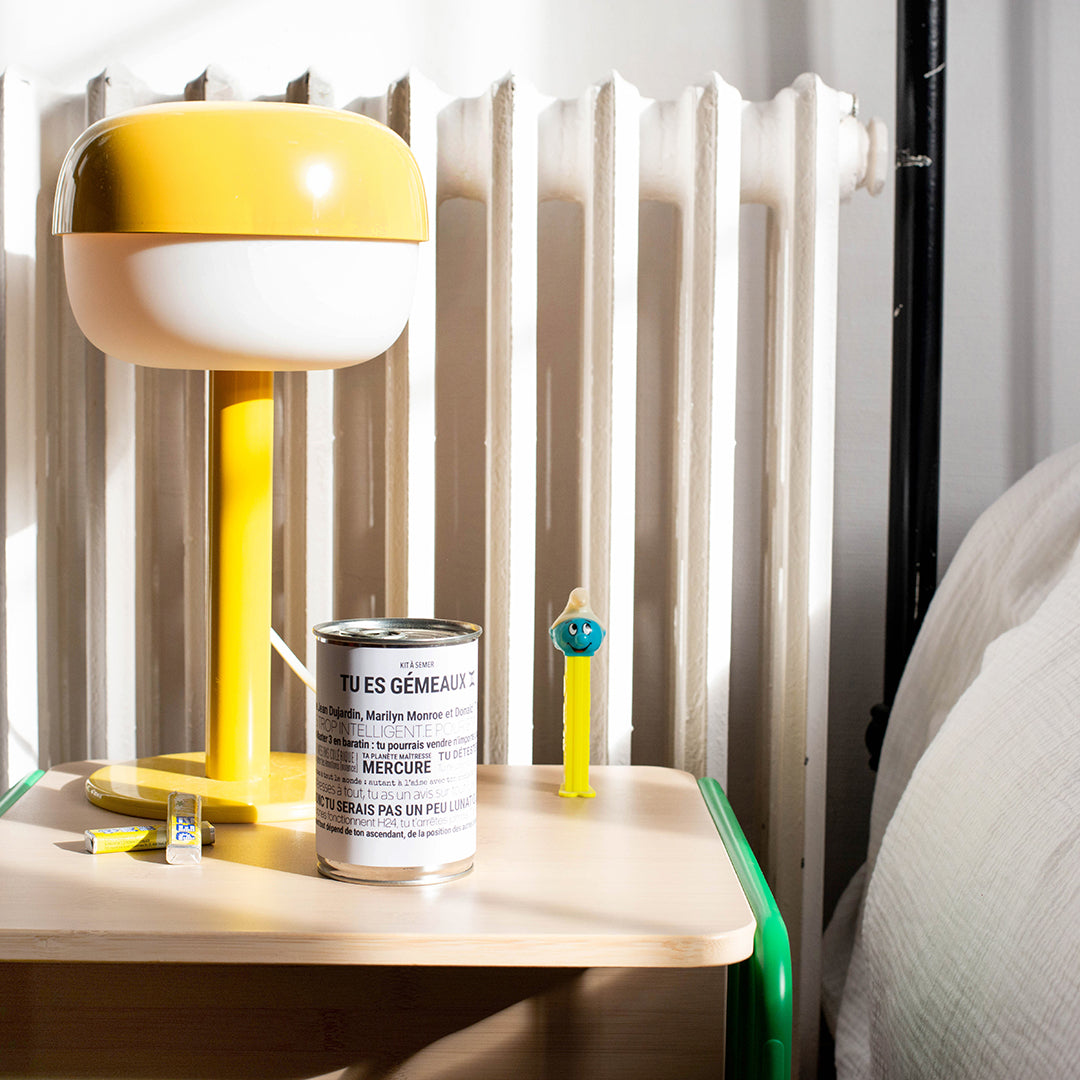 Kit à semer Gemeaux Mauvaises Graines, idée cadeau astrologique en collaboration avec Tout est Dit