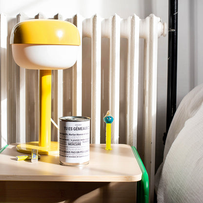 Kit à semer Gemeaux Mauvaises Graines, idée cadeau astrologique en collaboration avec Tout est Dit