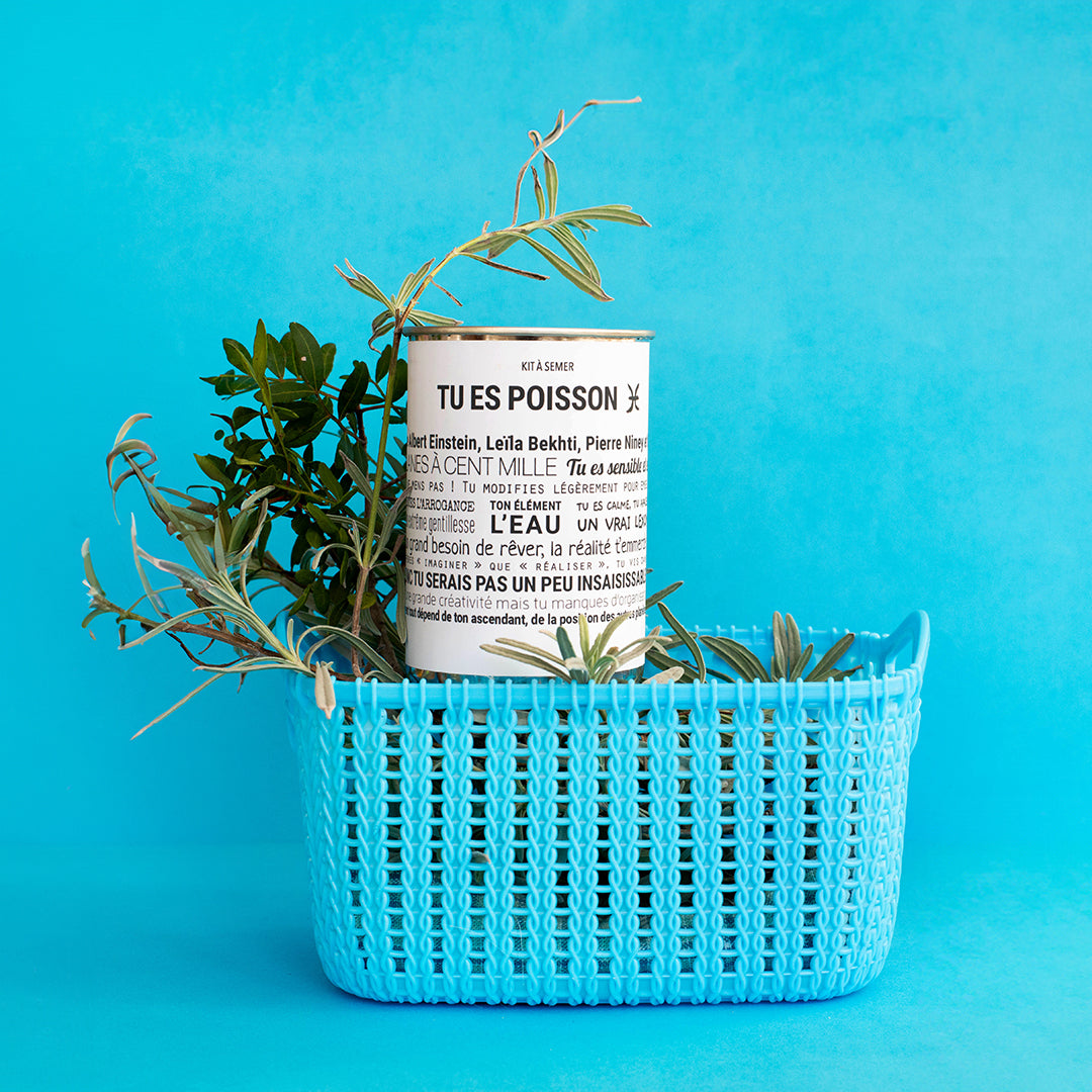 Kit à semer Poissons Mauvaises Graines, idée cadeau astrologique en collaboration avec Tout est Dit
