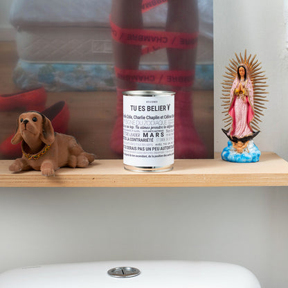 Kit à semer Bélier Mauvaises Graines, idée cadeau astrologique en collaboration avec Tout est Dit