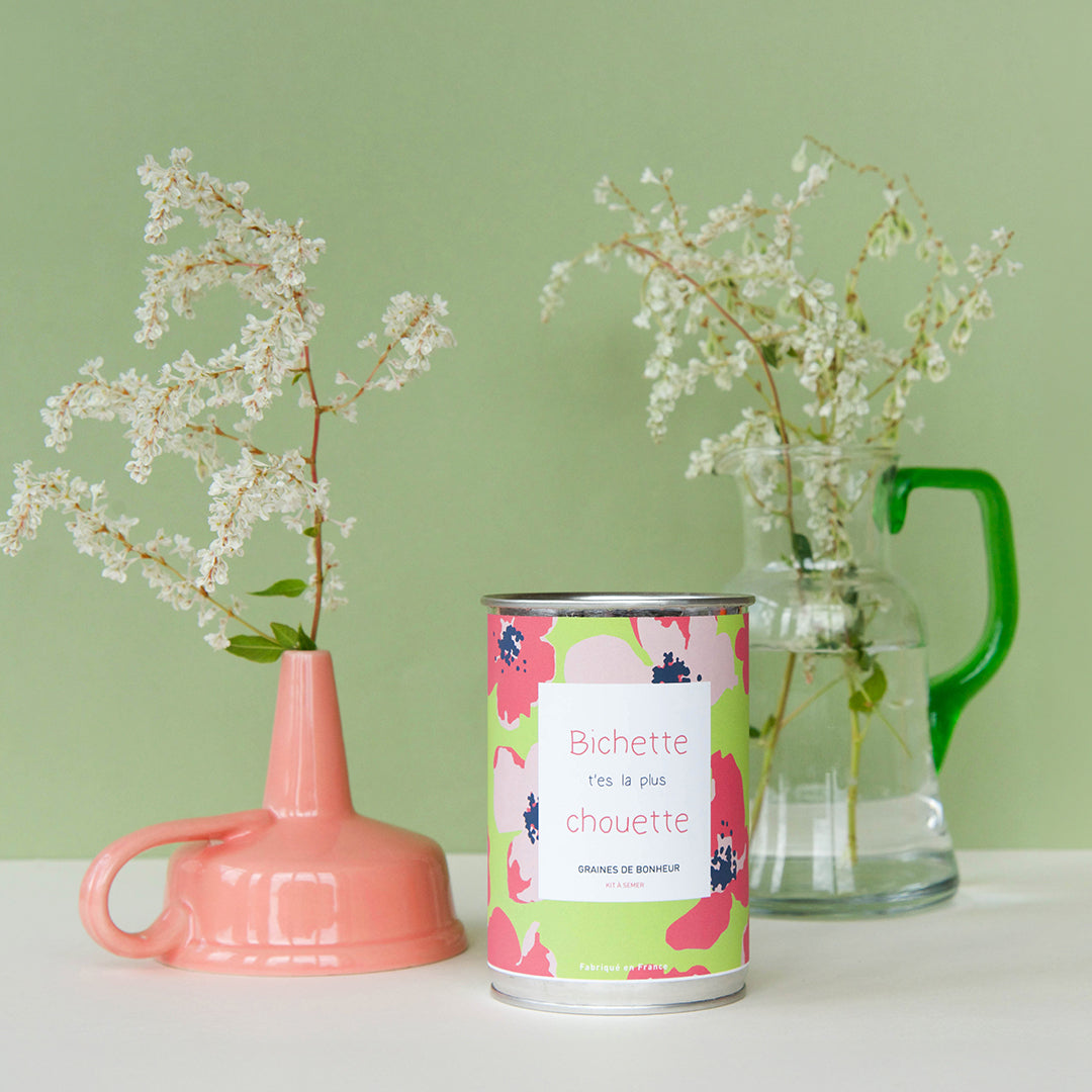 Kit à semer famille Mauvaises Graines, cadeau original et fabriqué en France pour maman, papa, frangin ou frangine