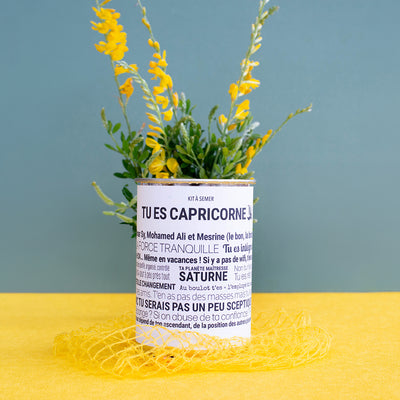Kit à semer Capricorne  Mauvaises Graines, idée cadeau astrologique en collaboration avec Tout est Dit