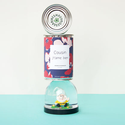 Kit à semer famille Mauvaises Graines, cadeau original et fabriqué en France pour maman, papa, frangin, frangine, cousine ou cousin