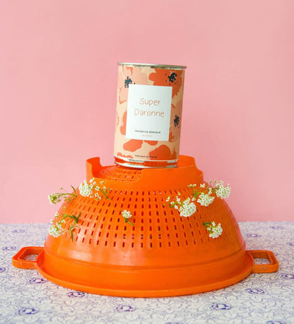 Kit à semer famille Mauvaises Graines, cadeau original et fabriqué en France pour maman, papa, frangin ou frangine.