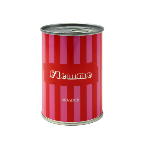 Kit à semer « Flemme »