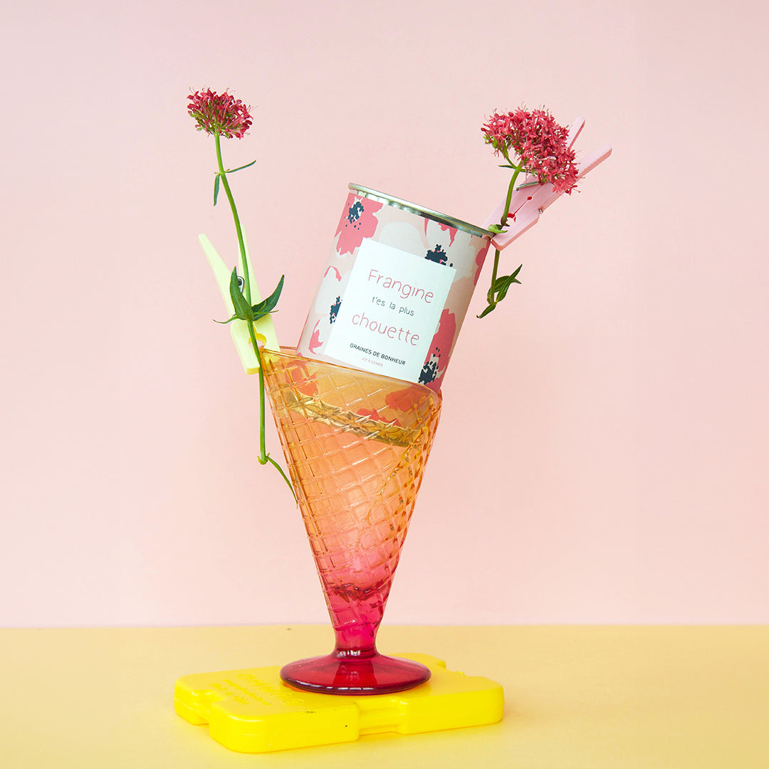 Kit à semer famille Mauvaises Graines, cadeau original et fabriqué en France pour maman, papa, frangin ou frangine.