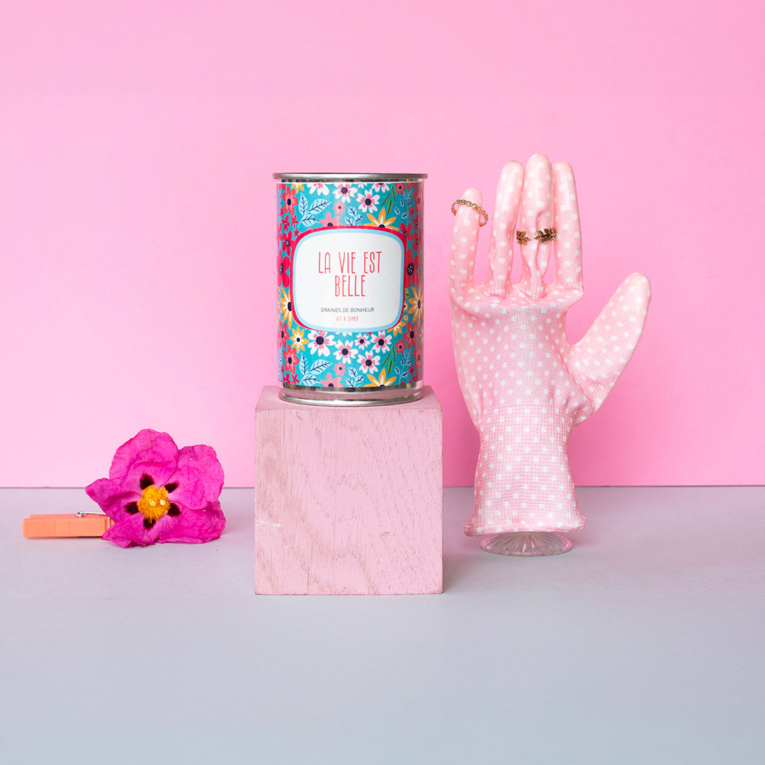 Kits à semer message Mauvaises Graines pour dire bisous, bon anniversaire, félicitations, merci,je t’aime ou la vie est belle