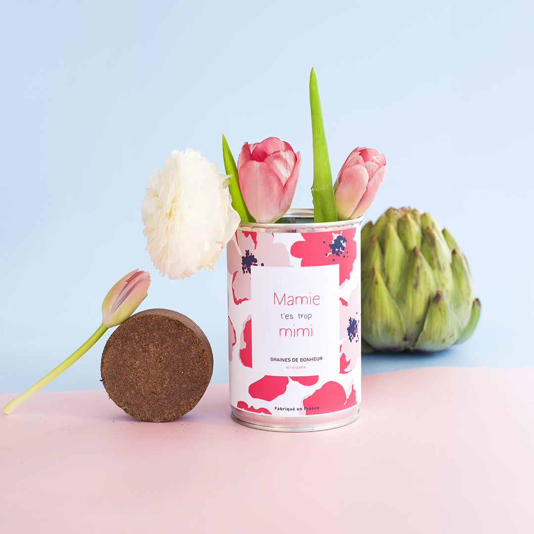 Kit à semer famille Mauvaises Graines, cadeau original et fabriqué en France pour maman, papa, mamie, papy,frangin ou frangine.
