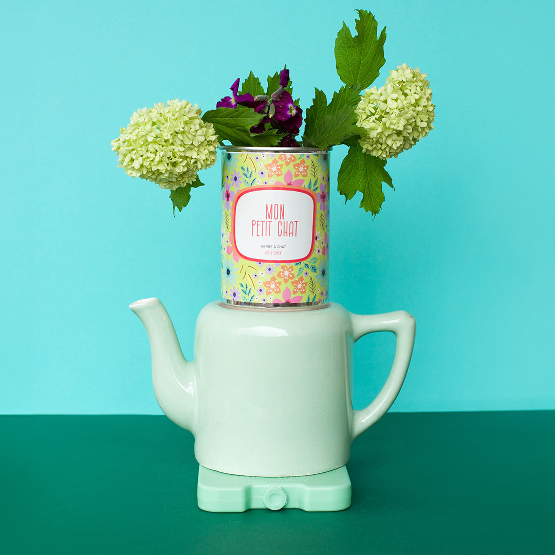 Kits à semer message Mauvaises Graines pour dire bisous, bon anniversaire, félicitations, merci ou je t’aime