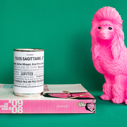 Kit à semer Sagittaire Mauvaises Graines, idée cadeau astrologique en collaboration avec Tout est Dit