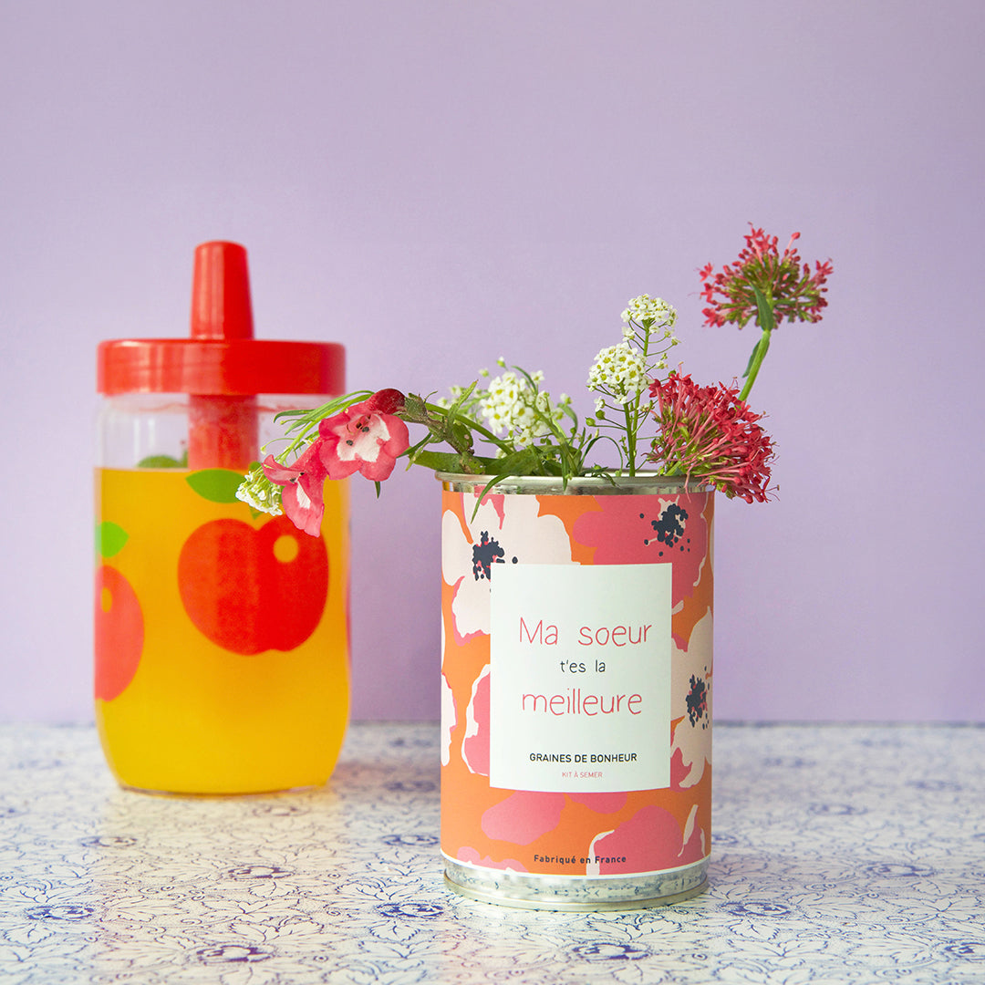 Kit à semer famille Mauvaises Graines, cadeau original et fabriqué en France pour maman, papa, frangin ou frangine.