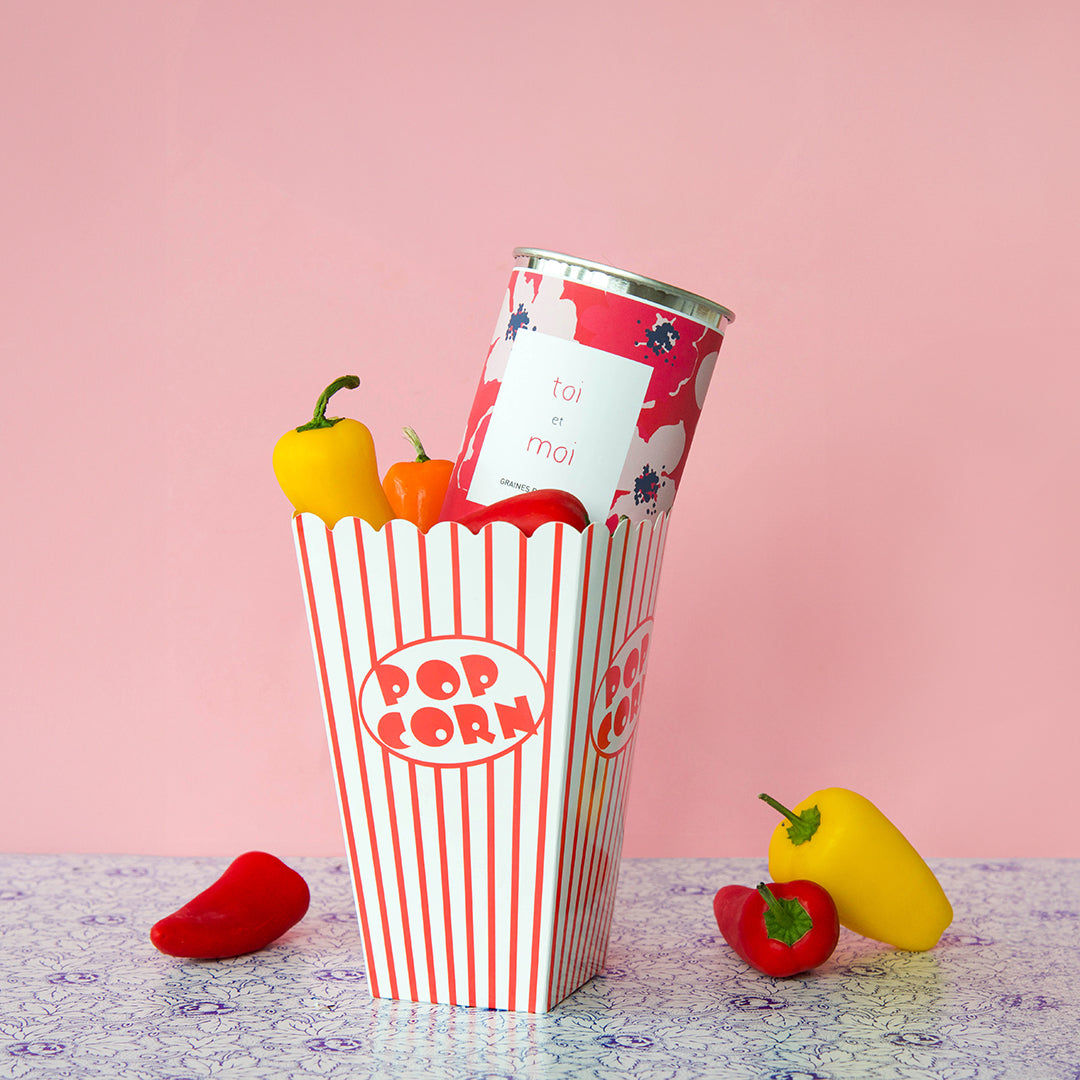 Kit à semer famille Mauvaises Graines, cadeau original et fabriqué en France pour maman, papa, frangin ou frangine.