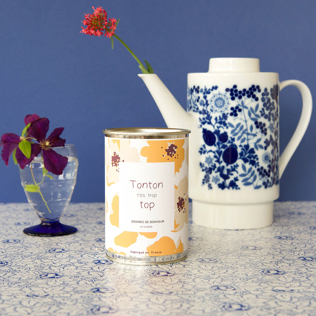 Kit à semer famille Mauvaises Graines, cadeau original et fabriqué en France pour maman, papa, frangin ou frangine.