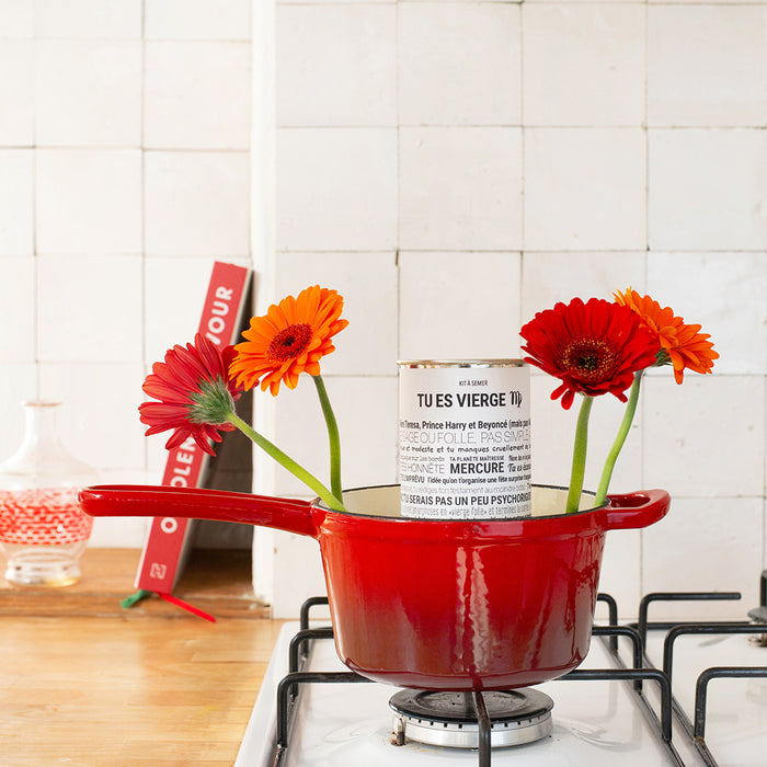 Kit à semer « Vierge » – collaboration Tout est Dit
