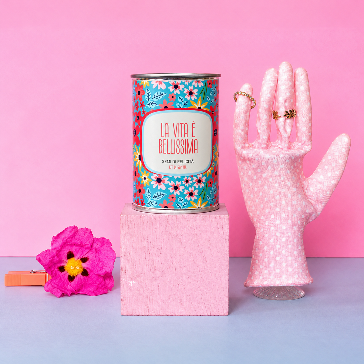 Kit da seminare « La vita è bellissima » – MauvaisesGraines