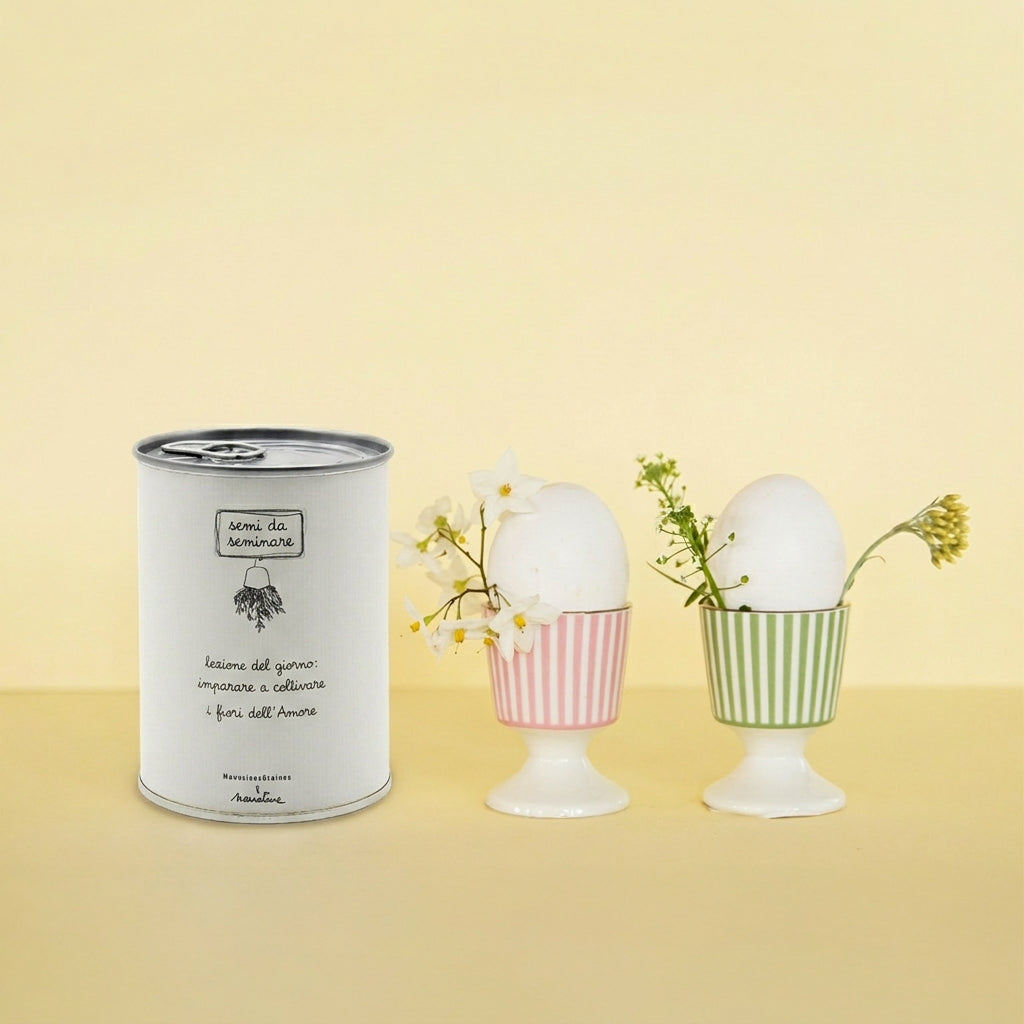 Kit da seminare « Lezione del giorno » – Narrature – MauvaisesGraines