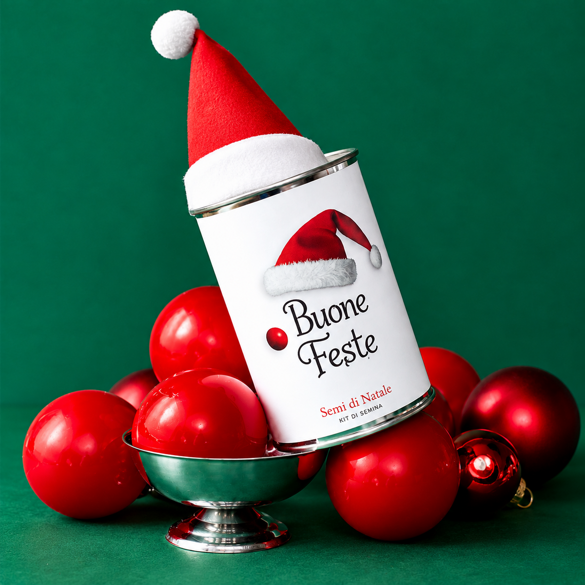 Kit da seminare « Buone feste – Berretto rosso » – MauvaisesGraines
