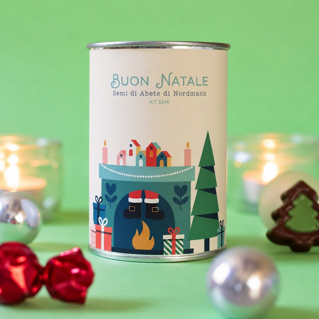 Kit da seminare « Buon Natale – Camino » – MauvaisesGraines