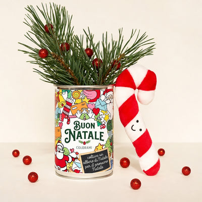 Kit da seminare « Buon Natale da colorare » – MauvaisesGraines