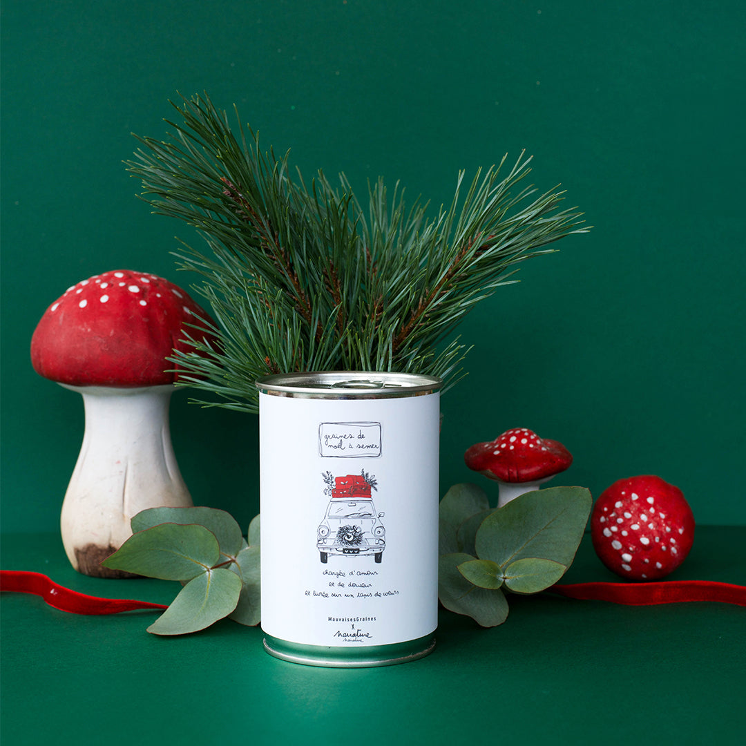 Kit à semer "Une année chargée d'amour"