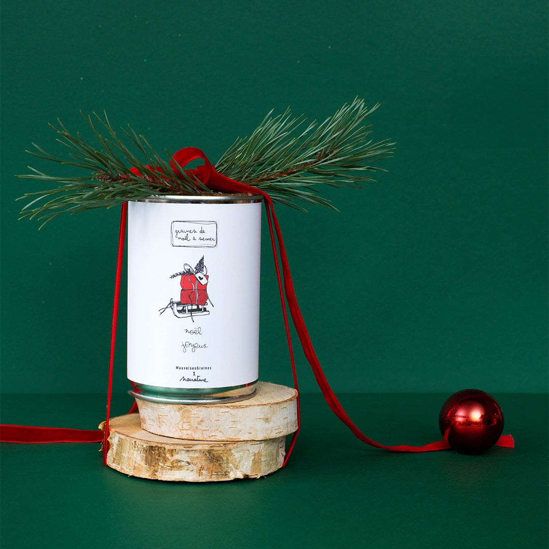 Kit à semer "Noël Joyeux"