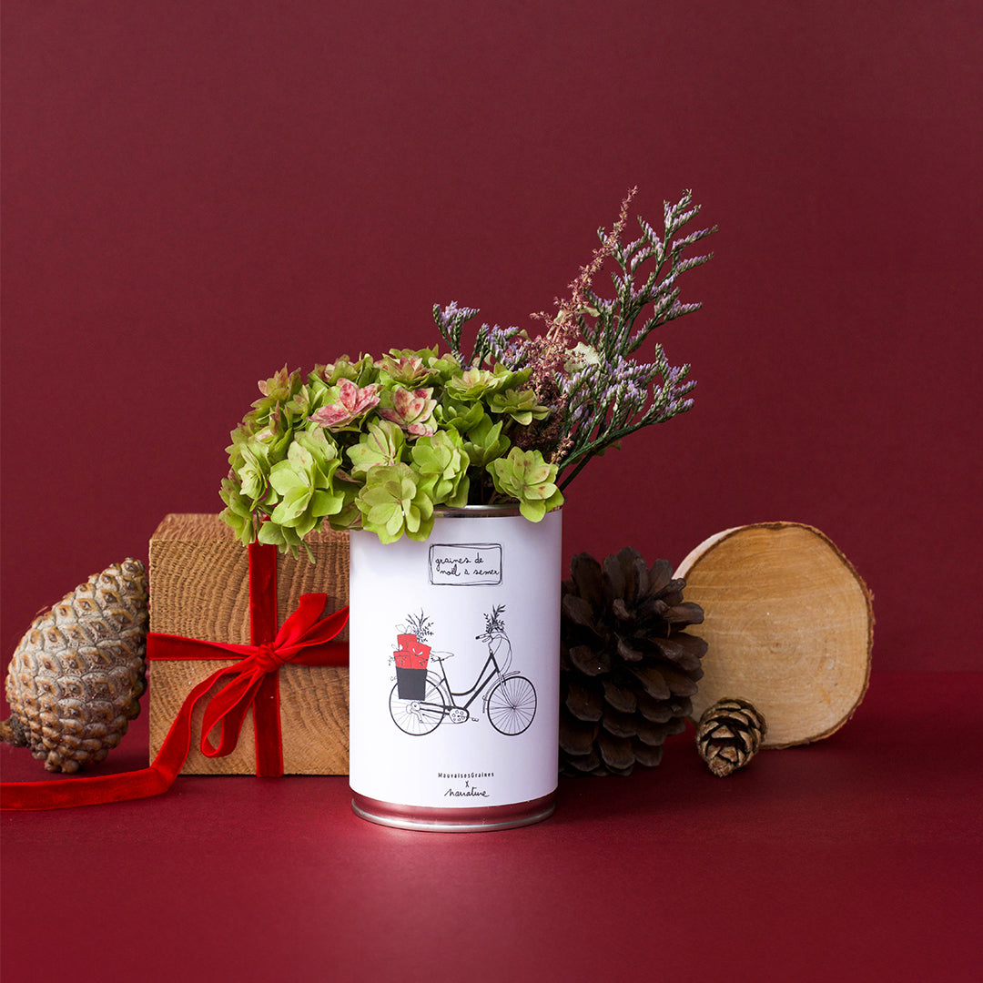 Kit à semer "Vélo de Noël" Fabriqué en France