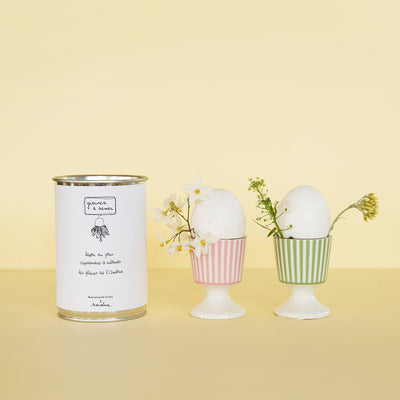 Kit à semer "Leçon du jour"