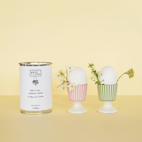 Kit à semer « Leçon du jour »