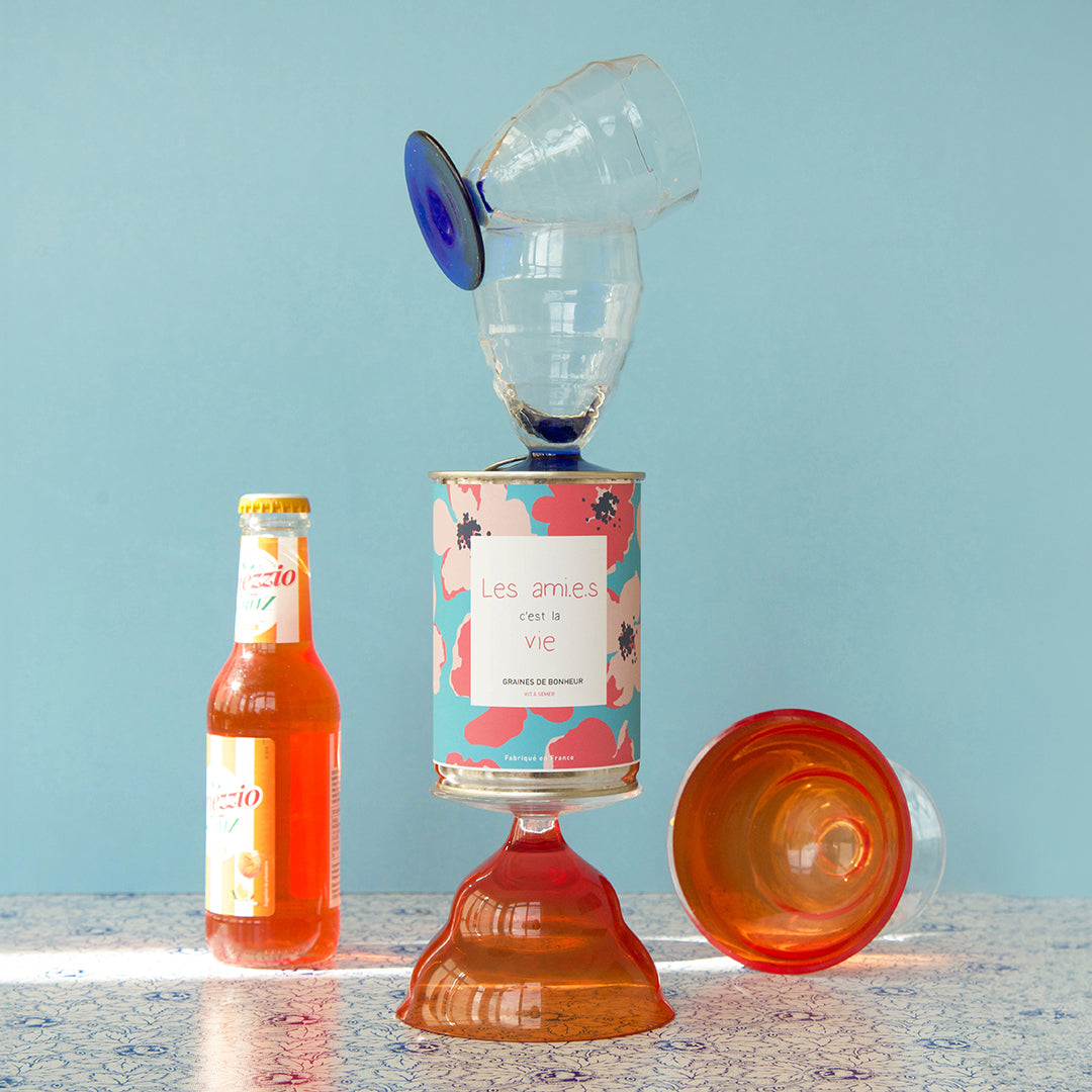 Kit à semer "Les ami.e.s c'est la vie" fabriqué en France