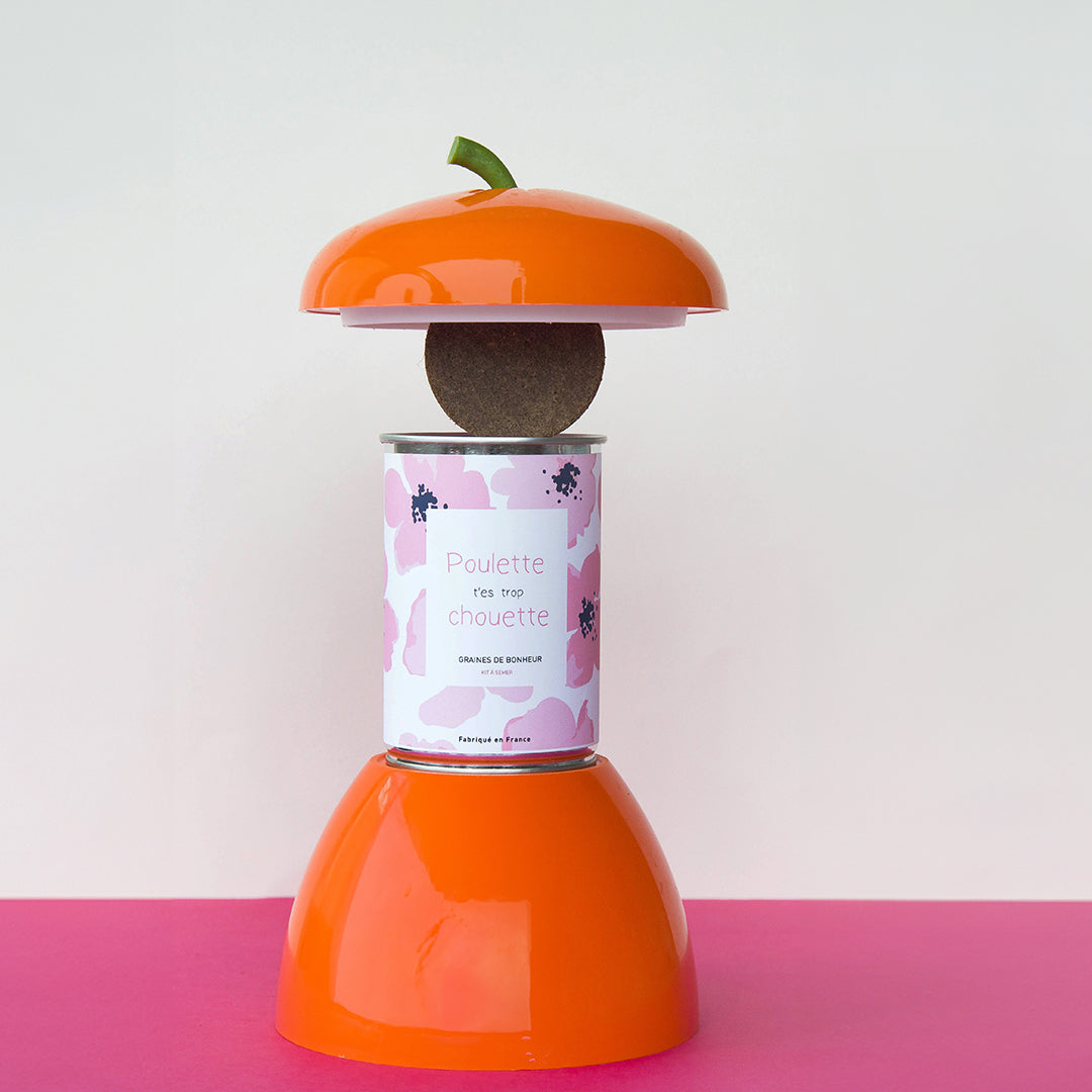 Kit à semer "Poulette t'es la plus chouette" fabriqué en France
