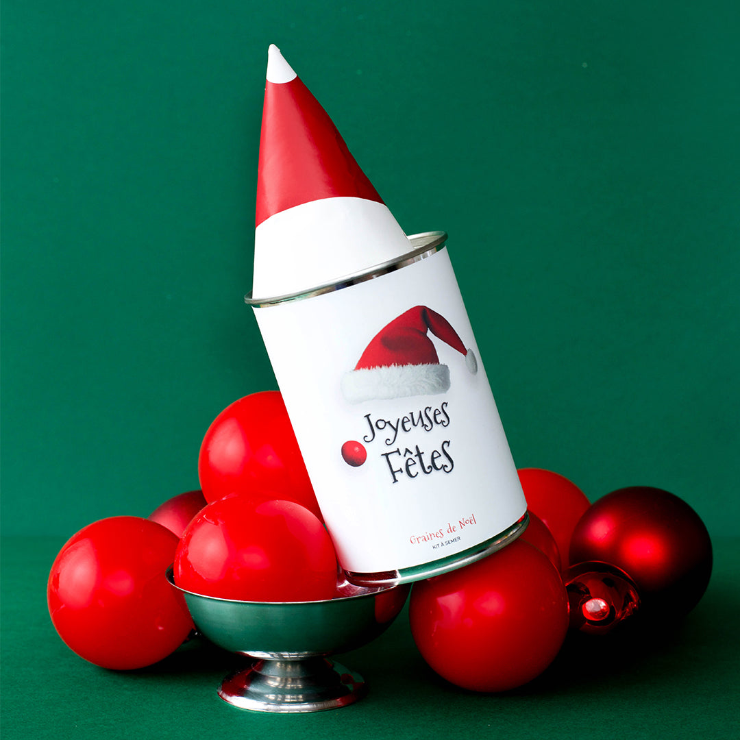 Kit à semer "Joyeuses Fêtesl" Fabriqué en France